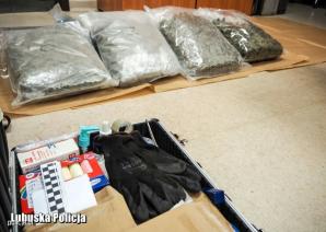 [VIDEO] Policjanci zabezpieczyli 10 kg marihuany