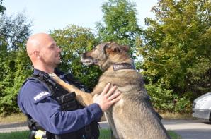 Policyjny pies Luna odszedł na emeryturę