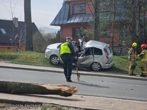 Tragiczne skutki silnych porywów wiatru halnego w Zakopanem. Nie żyje 5 osób, w tym dwoje dzieci