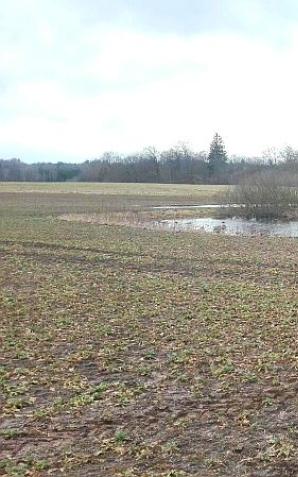 Kradną ciągniki w okolicach Słupska. Ludzie Rutkowskiego w akcji!
