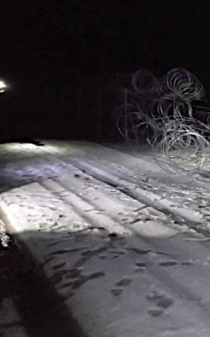 Szturm na polską granicę. 13 cudzoziemców - ob. Iraku i Syrii,  z pomocą służb białoruskich przecięła concertinę, a następnie przeszła na polską stronę