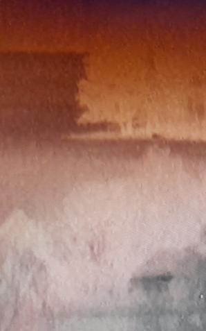  Halloween na granicy polsko-białoruskiej. 130 duchów w oku kamery