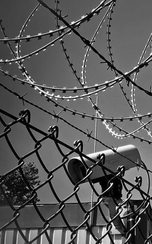 Kolejne ataki na polskie służby na granicy polsko-białoruskiej