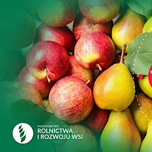 Białoruś częściowo znosi embargo. Zakaz importu dotyczy krajów które przyjęły sankcje wobec Mińska - w tym USA, Kanada, Norwegia, Albania, Islandia, Macedonia Północna, Wielka Brytania, Czarnogóra, Szwajcaria, Serbia i Liechtenstein