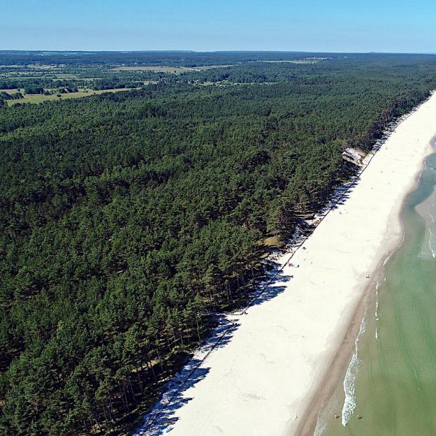 [VIDEO] Urząd Morski w Gdyni po raz drugi poszukuje wolontariuszy do współpracy przy edukowaniu w zakresie ochrony wydm i lasów nadmorskich