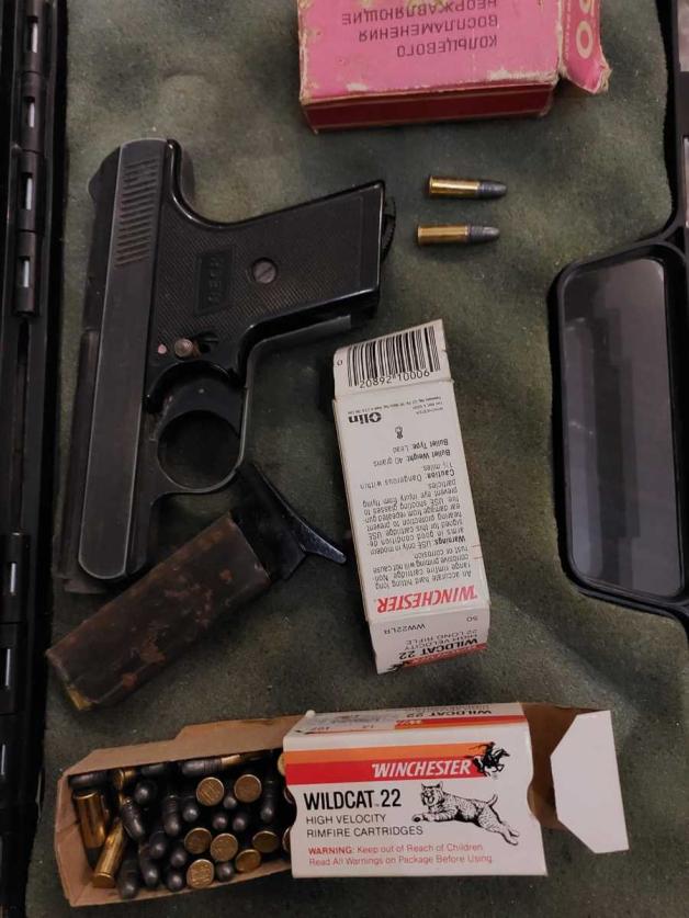 Obawiał się o życie swoich zwierząt, więc zastrzelił sąsiadce kota